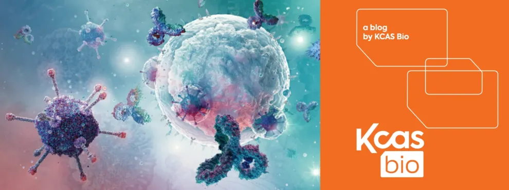 Quantitative Flow Cytometry Explained: Methods, Applications, and Benefits