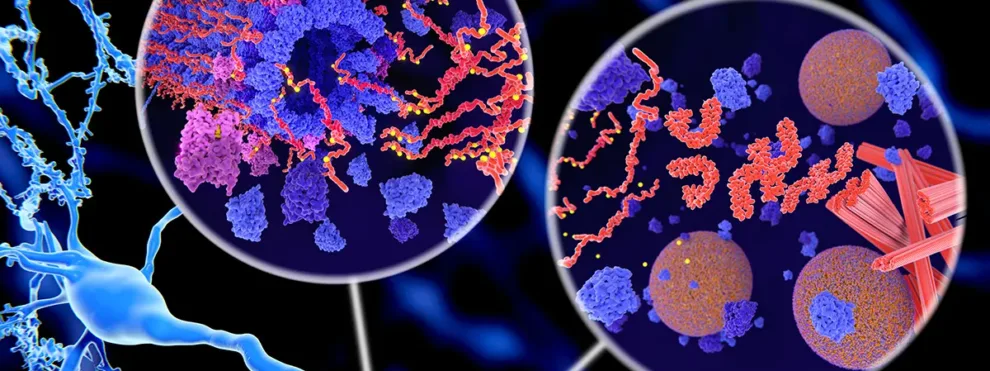 Phosphoflow Cytometry: 5 Must-Know Scientific Facts