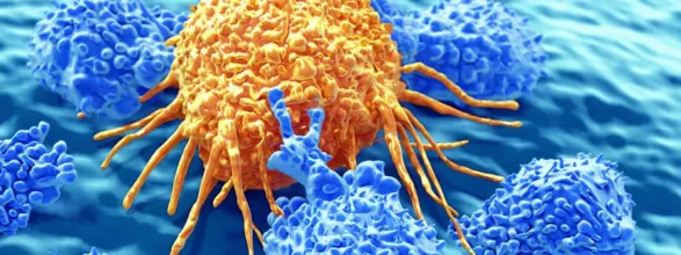 Exploring Emerging Therapies in Immuno-Oncology