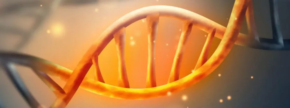 What Sets KCAS Bio Apart in Bioanalytical Discovery Projects?