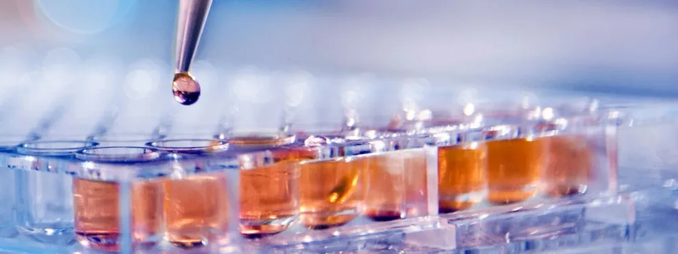 The Benefits of Combining LBA and LC-MS/MS for Pharmacodynamics