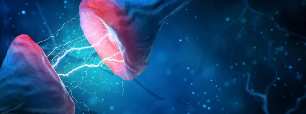 Therapeutic Efficacy in Neurodegenerative Disorders​