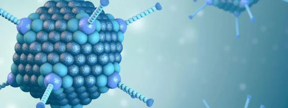The Role of Bioanalysis in Viral Vector Development