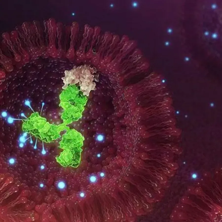 Antibody Drug Conjugate Services (ADC) Bioanalytical Services: Hybrid LC-MS & LBA Technology Solutions