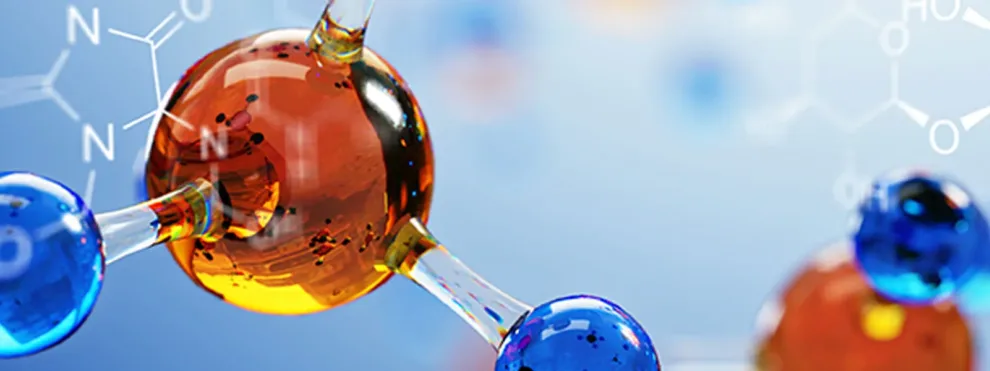 Navigating Bioanalysis for Large Molecule Therapeutics