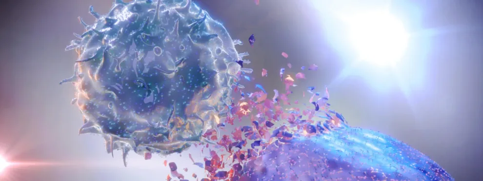 CAR-NK Cell Therapy Assays with Flow Cytometry