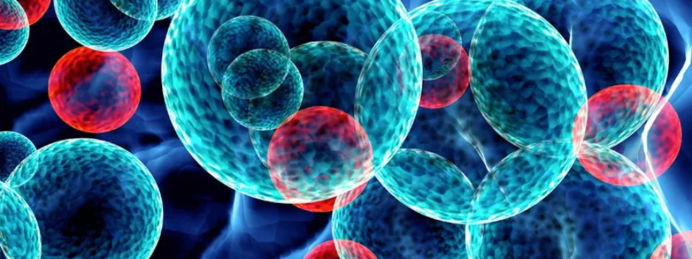 Cell Staining for Reliable Bioanalysis