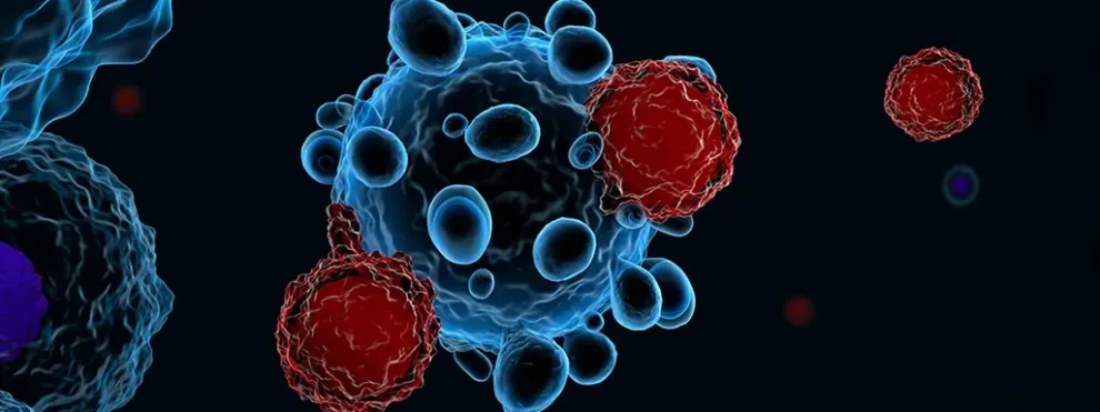 Monitoring T Cell Exhaustion with Flow Cytometry in Immuno-Oncology