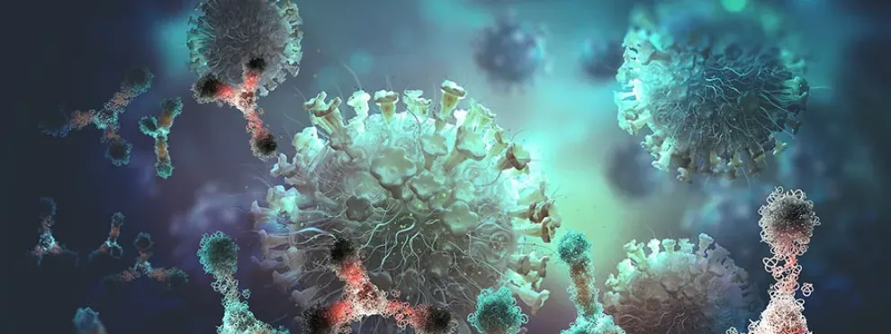 Flow Cytometry for Therapeutic Antibody Assessment