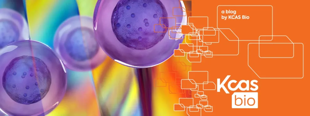 Flow Cytometry at KCAS Bio: Pushing Boundaries in 2024