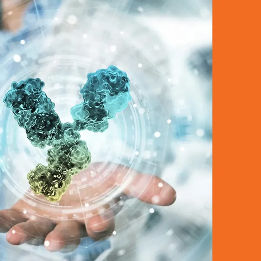Hybrid LC-MS/MS PK Assay for ADC and ARC Quantification