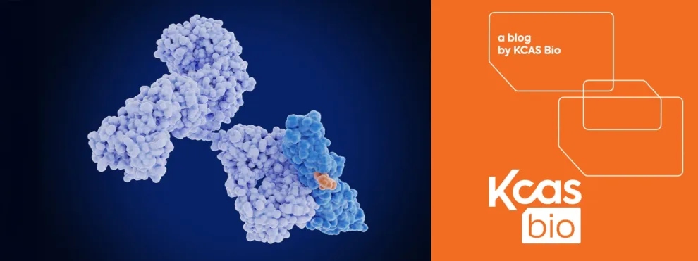 Comparing Cell-Based and Non-Cell-Based NAb Assays for Drug Development