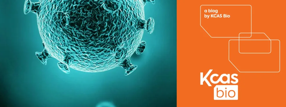 Biodistribution PCR at KCAS Bio: How We’re Scaling with Science