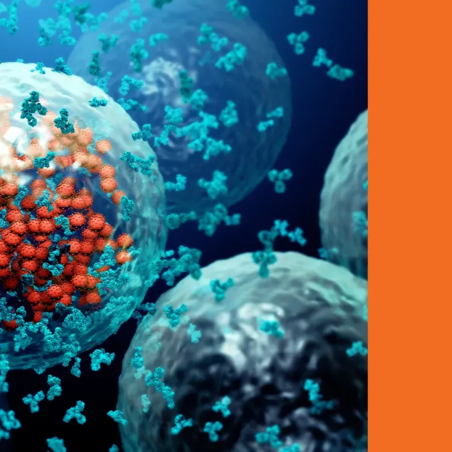 Anti-Drug Antibody (ADA) Assays: Immunogenicity Testing Explained