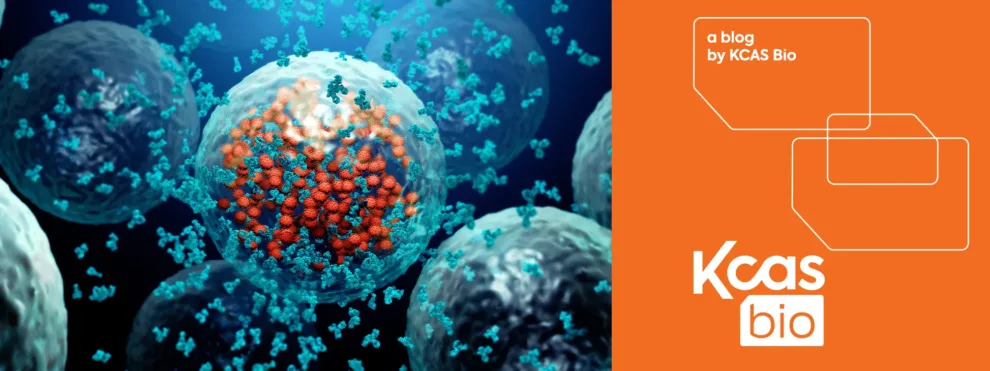 Anti-Drug Antibody (ADA) Assays: Immunogenicity Testing Explained