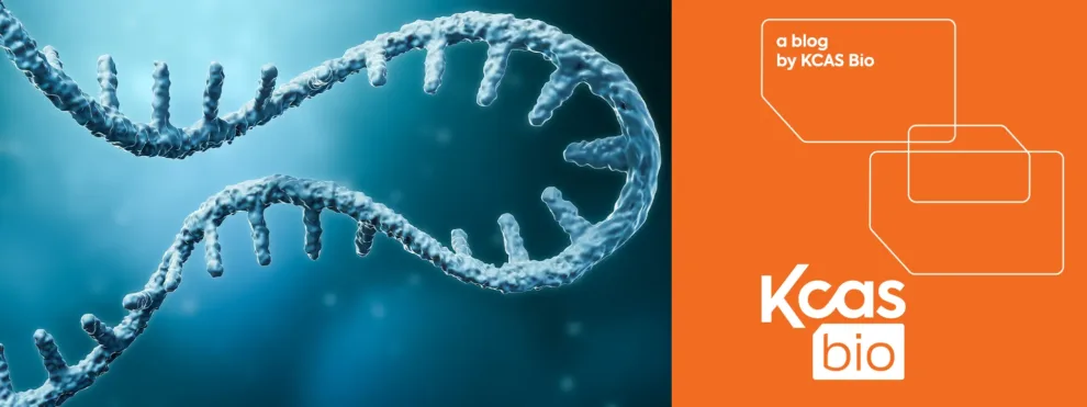Strategies for Antisense Oligonucleotide Analysis by LC-MS/MS