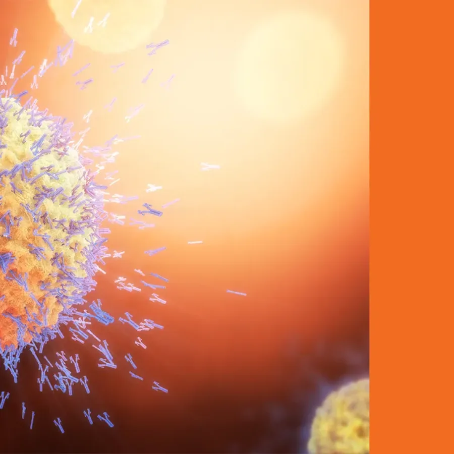 Advanced Flow Cytometry Solutions for Drug Development: a Focus on B Cells (Part 1)