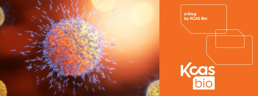 Advanced Flow Cytometry Solutions for Drug Development: a Focus on B Cells (Part 1)