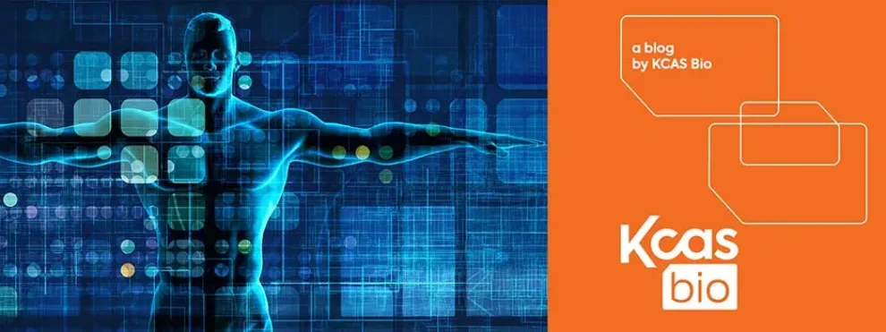 Pharmacokinetics vs Pharmacodynamics: Key Differences Explained