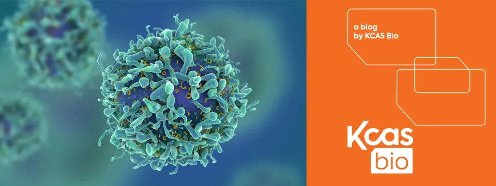Driving Precision Insights with Spectral Flow Cytometry: a Focus on T Cells (Part 2)