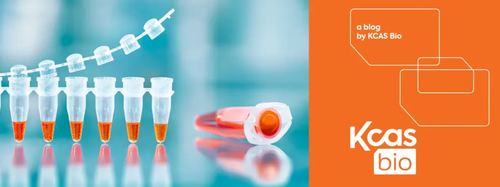 The Uses of PCR Technology in Modern Drug Development