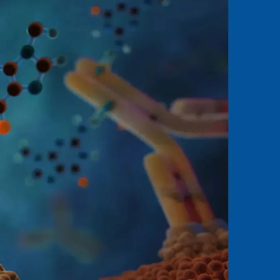 Cutting-Edge PK and Immunogenicity Strategies for Next-Generation ADCs, ARCs, and Conjugated Biotherapeutics