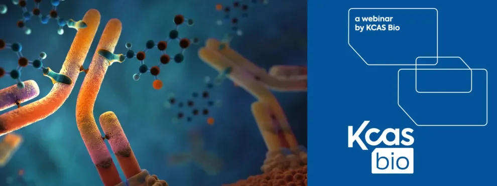 Cutting-Edge PK and Immunogenicity Strategies for Next-Generation ADCs, ARCs, and Conjugated Biotherapeutics