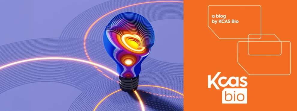 Inside the Drug Discovery Process: From Idea to Candidate