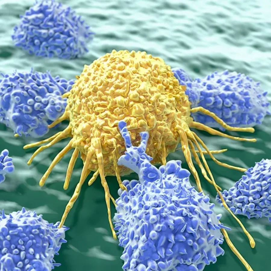 Cancer-being-attached-by-Lymphocytes