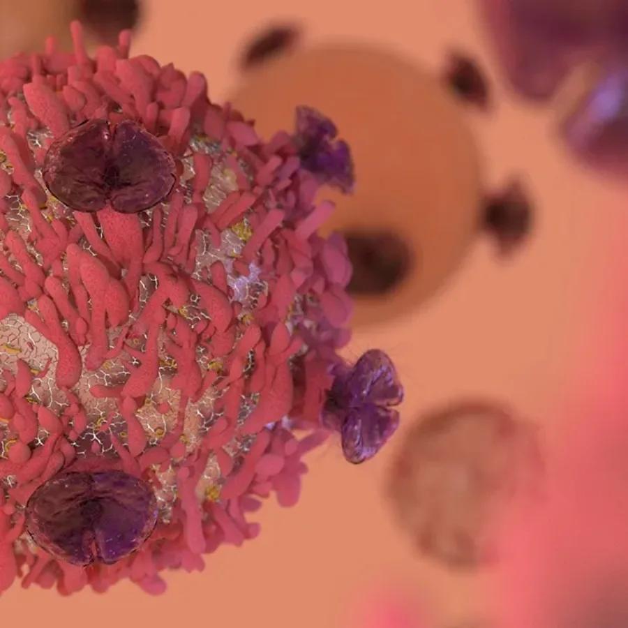 Cancer-cell-immunotherapy-research