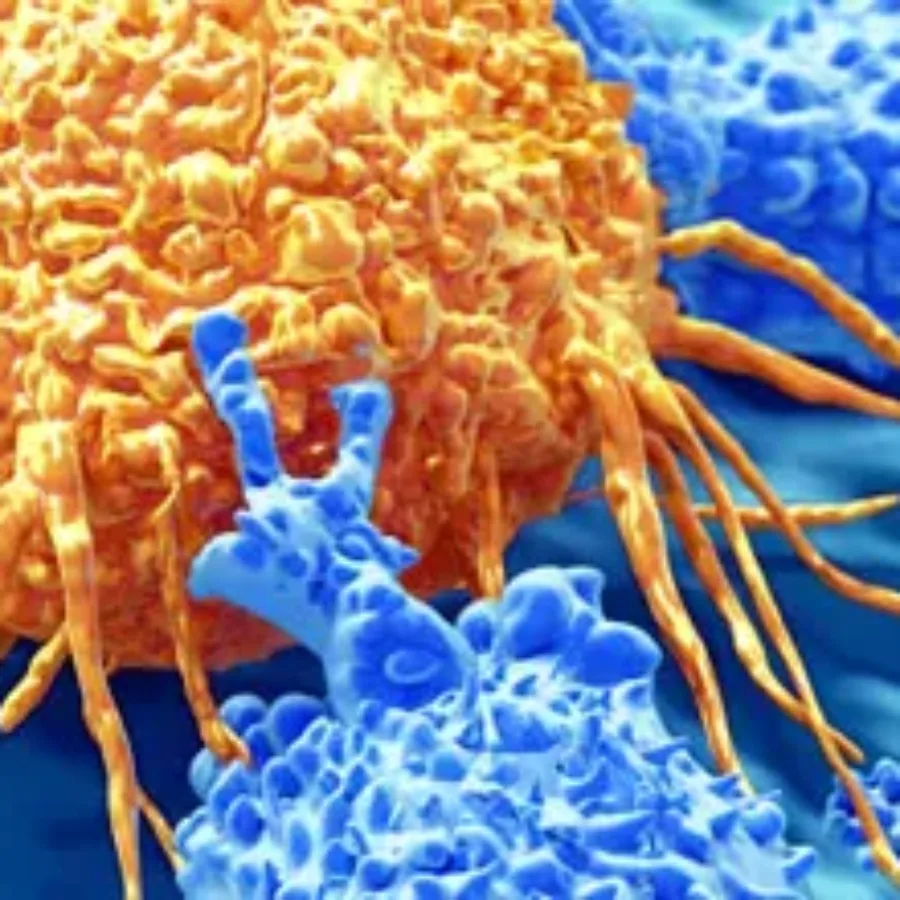 Emerging Immuno-oncology Therapies