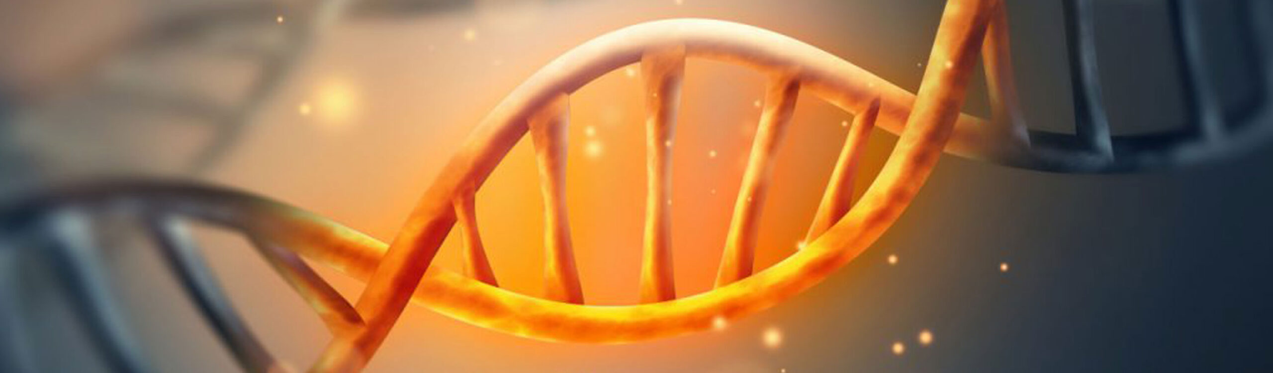 KCAS Bio | Bioanalytical CRO | Bioanalysis
