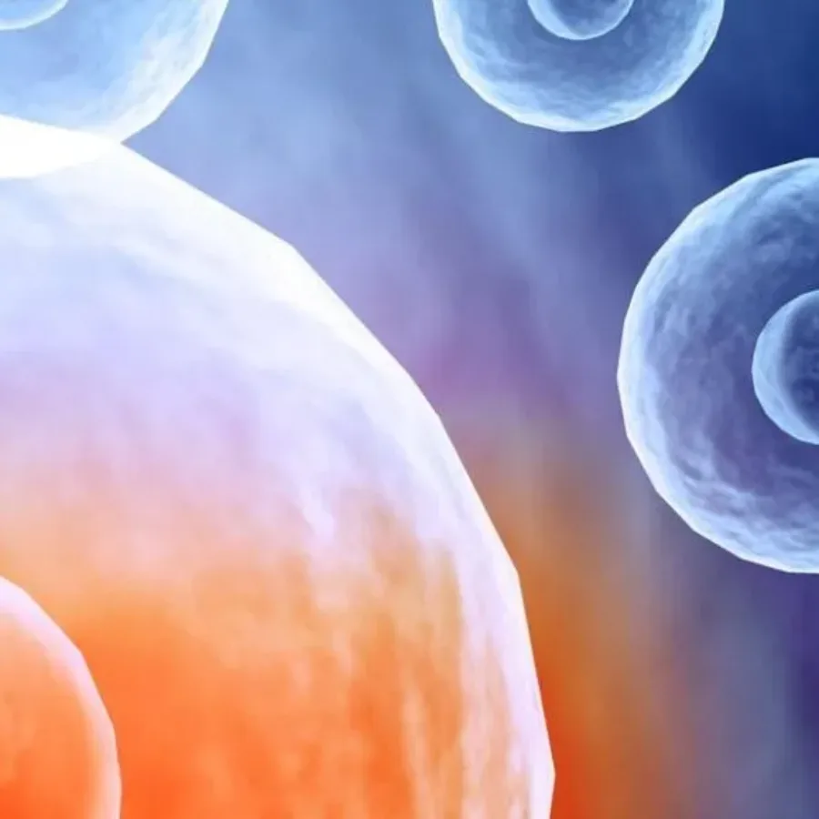 Molecular Cell & Gene Therapy Solutions from KCAS