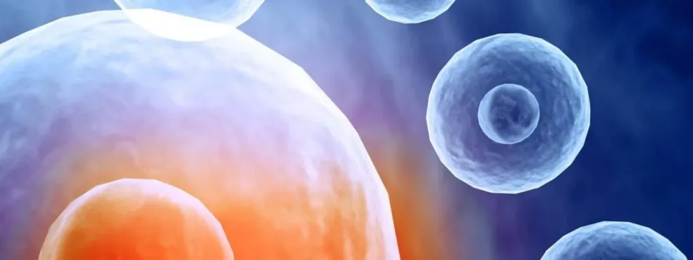 Molecular Cell & Gene Therapy Solutions from KCAS