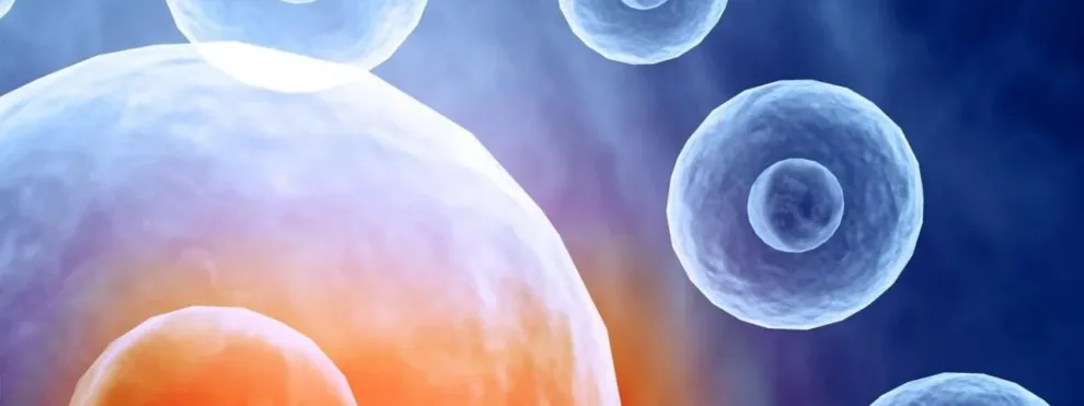 Molecular Cell & Gene Therapy Solutions from KCAS