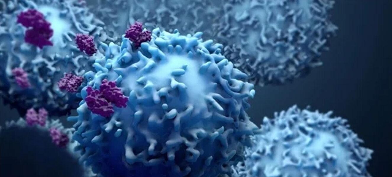 Flow Cytometry Services: Immunophenotyping - KCAS Bio