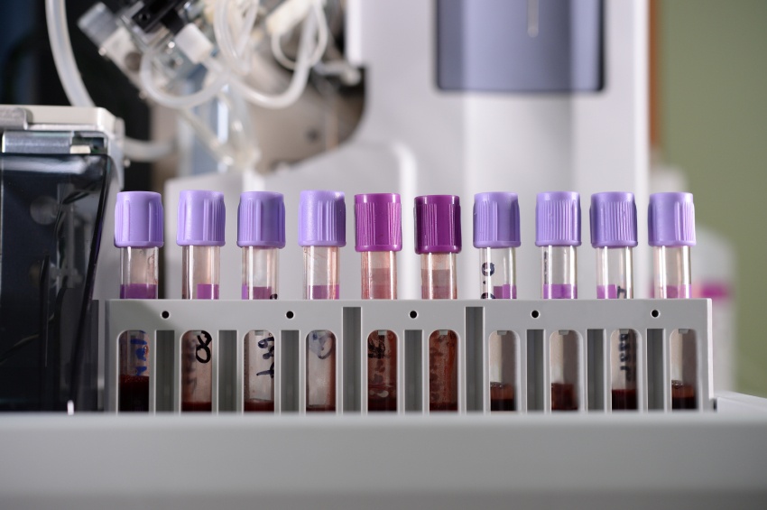 Preclinical Flow Cytometry Beyond Immunophenotyping | KCAS Bio