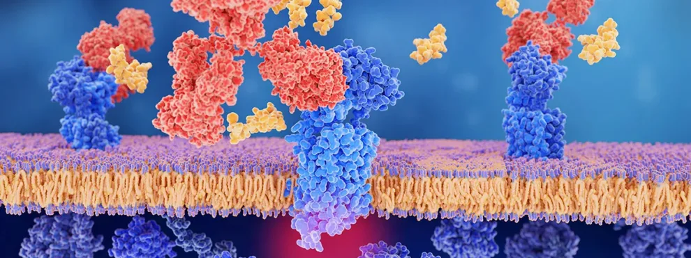 Receptor Occupancy – Definition, Overview, & Applications