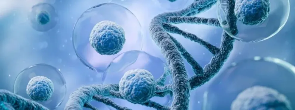 WEBINAR – A Masterclass in Advanced Analytical Assays for Bioanalysis of Oligonucleotides