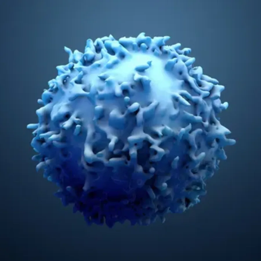 3d illustration lymphocytes, t cells or cancer cells