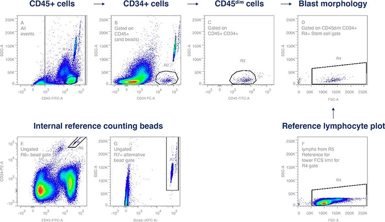 CD34+ flow cytometry gating strategy