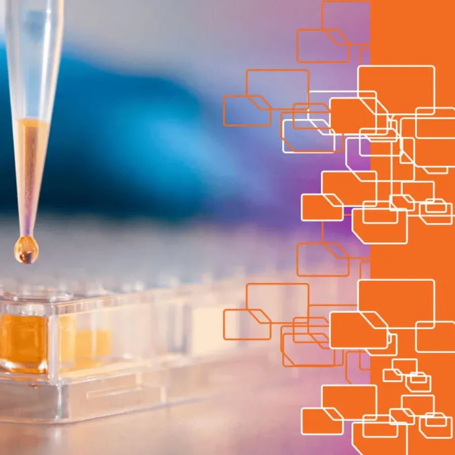 LBA Assays