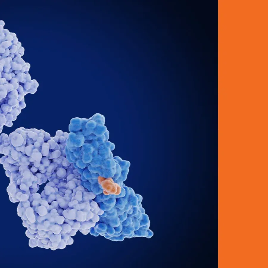 Neutralizing Antibody Assay Development