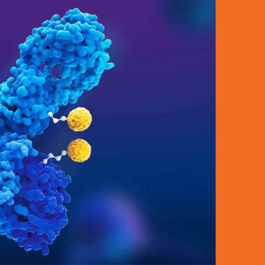 Refining Method Development & Validation Testing for Antibody Drug Conjugate Payloads