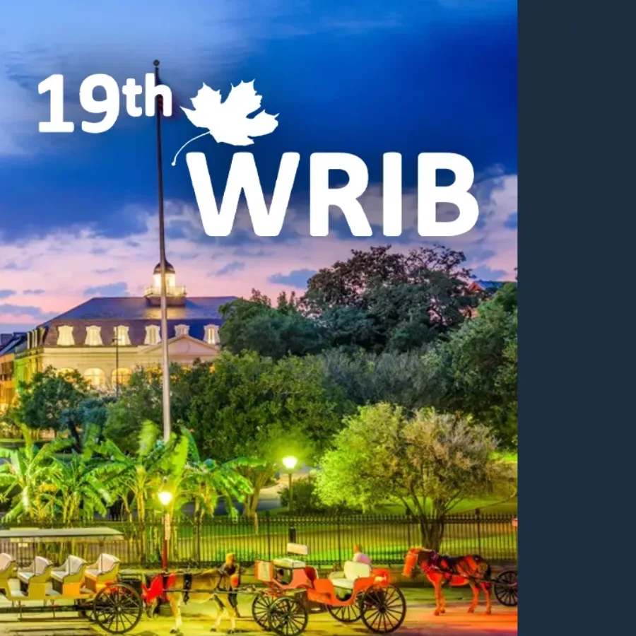 19th Annual WRIB