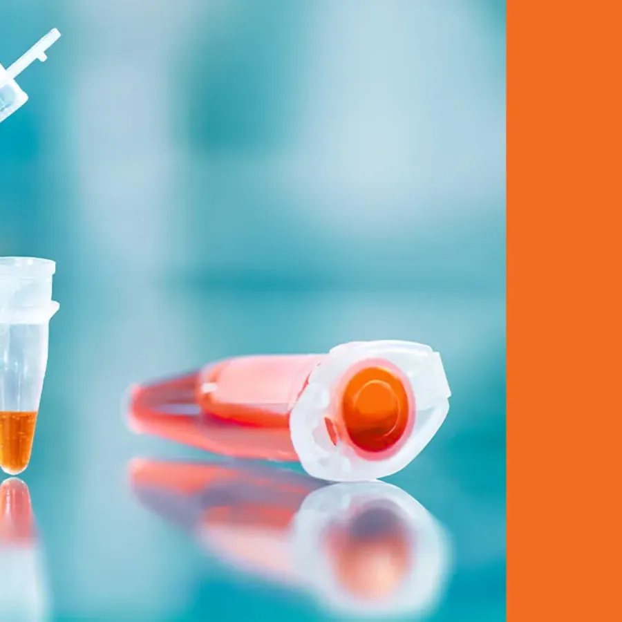 Applications of PCR in Drug Development