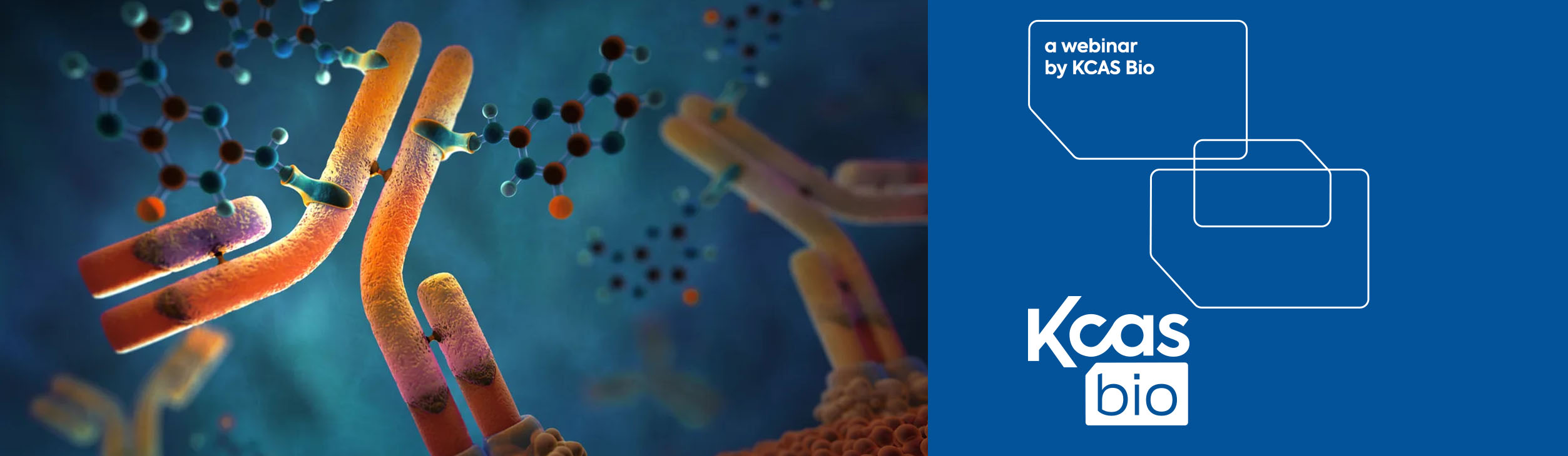 Cutting-Edge PK and Immunogenicity Strategies for Next-Generation ADCs ...