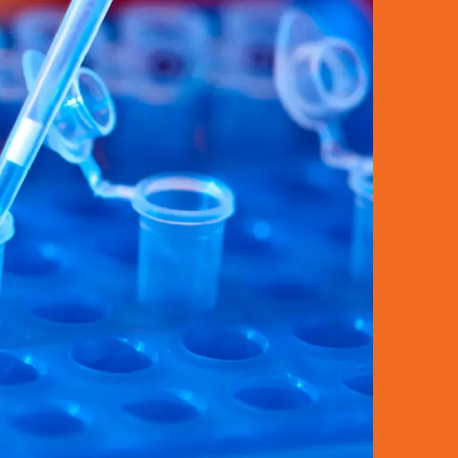 A Day in the Life of a Sample: How KCAS Bio Ensures Sample Integrity at Every Step