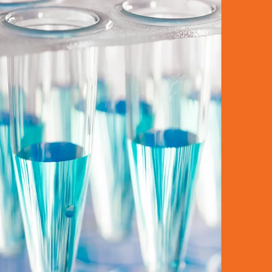 Quantitative PCR vs Digital PCR: Choosing the Right Platform for Bioanalysis