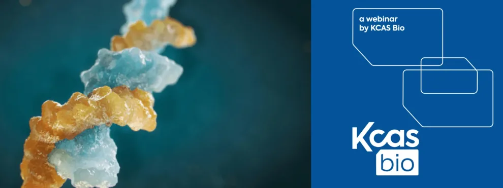 A Masterclass in Advanced Analytical Assays for Bioanalysis of Oligonucleotides